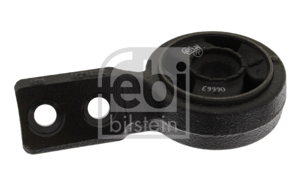 Mounting, control/trailing arm